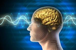 Grvida com morte cerebral d  luz gmeos aps 123 dias internada