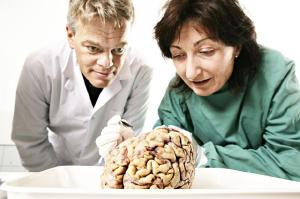 Nobel de Medicina de 2014 vai para descoberta de "GPS do crebro"