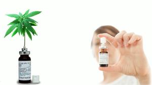 Registrado primeiro medicamento  base de Cannabis sativa