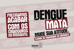 Paran tem 5.343 casos de dengue confirmados
