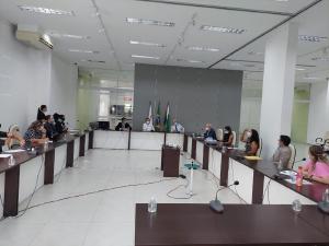 Encontro de assessores jurdicos de Conselhos Profissionais do PR debate temas relevantes