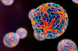 SESA publica nota orientativa sobre diagnstico diferencial de dengue e Covid-19