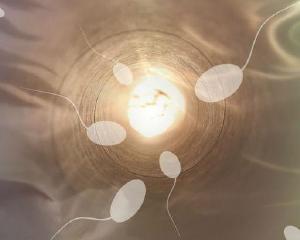 CFM anuncia novas regras para o uso de tcnicas de fertilizao no pas