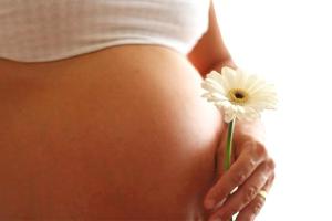 cido Flico: Mdicos recebem alerta para estimular consumo da vitamina