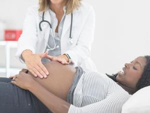 Associao de Obstetrcia e Ginecologia do Paran realiza workshop em prol da defesa profissional