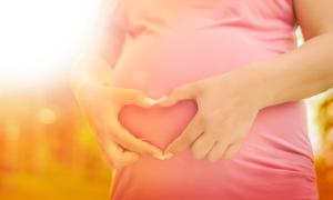 Lei posiciona doulas como acompanhantes