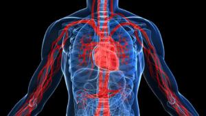 Hospital Universitrio ter residncia em Cirurgia Vascular