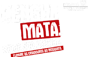 Sade estadual realiza mobilizao efetiva no combate  dengue no Dia D do Paran