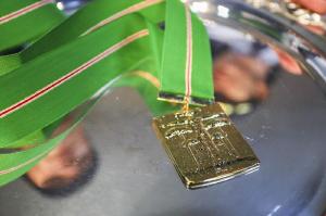 Mdicos entre homenageados com Ordem Municipal da Luz dos Pinhais