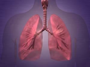 IOP traz oncologista do INCA para palestra sobre Cncer de Pulmo