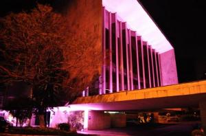 Mulher por Inteiro, tema da campanha Outubro Rosa 2021 do Legislativo Estadual