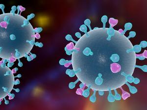 Paran registra 262 casos de Influenza H3N2; transmisso da doena  considerada comunitria
